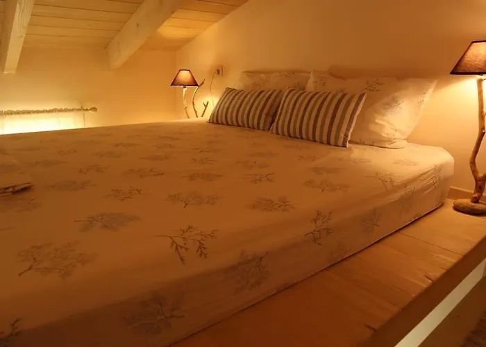 The Tiny Dependance Feriehus *